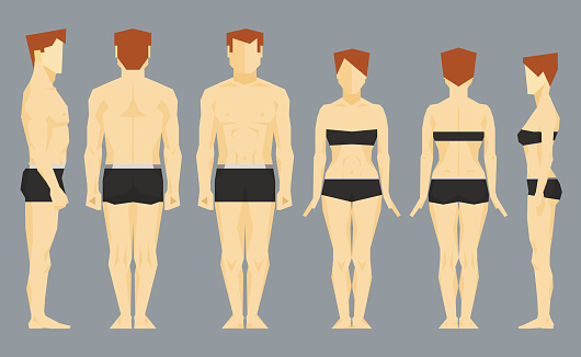Homme et femme de face, de profil et de dos